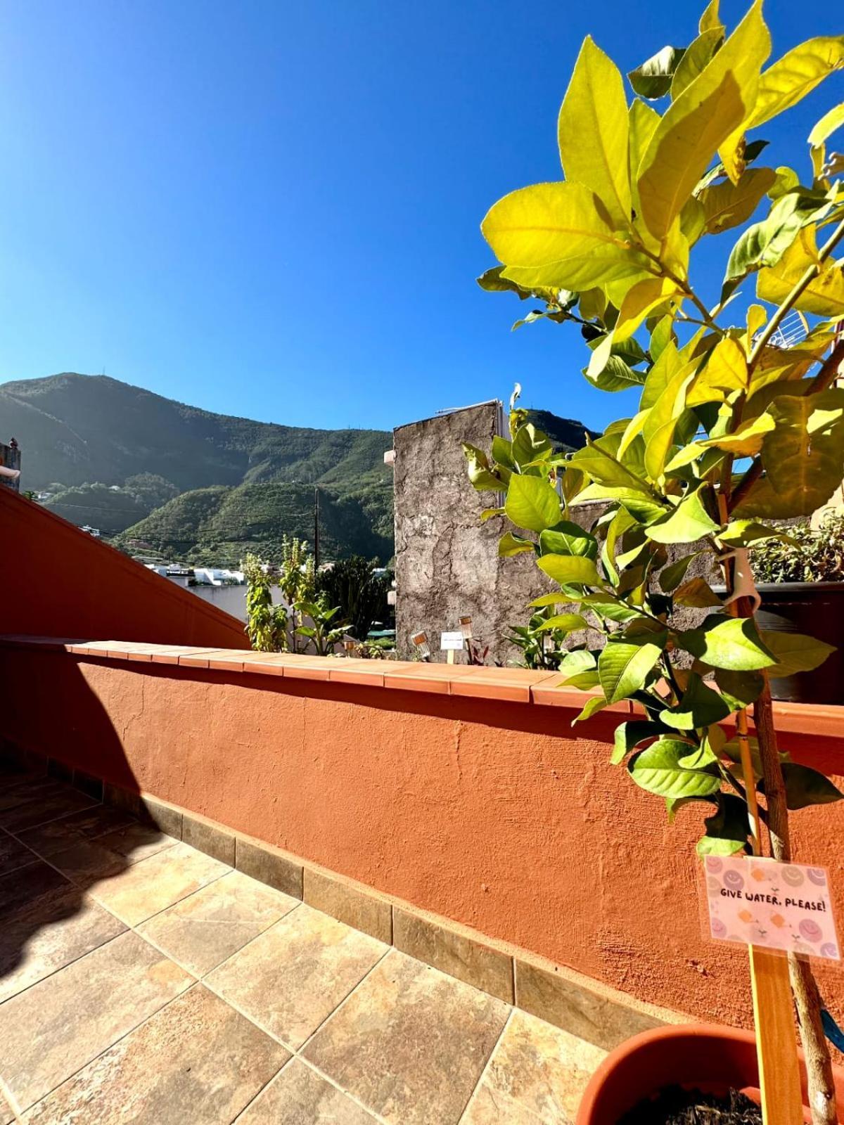 Precioso Apartamento Con Terraza En Piso Superior Los Realejos Exterior photo